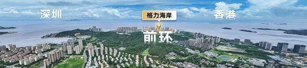 桥西区上门网站优化电话多少