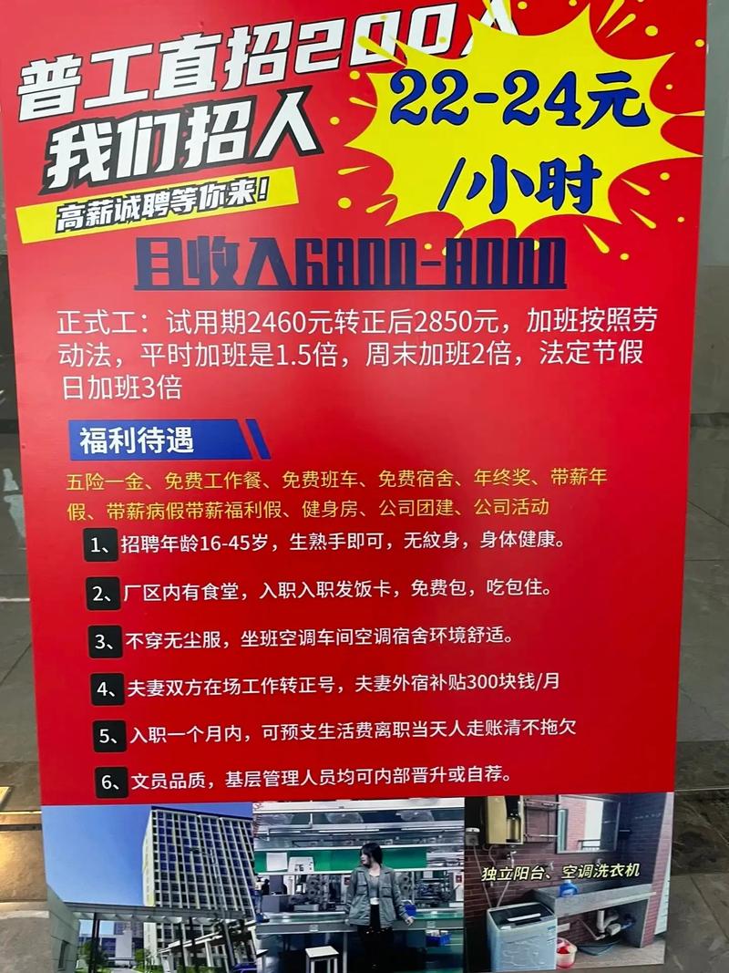 聊城网站优化企业招聘