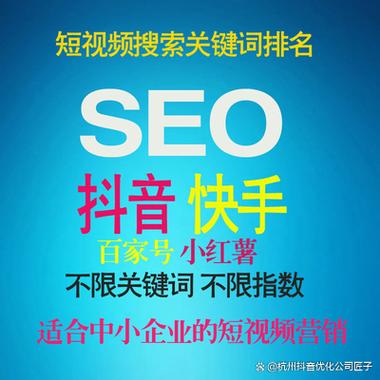 抖音seo教学收徒