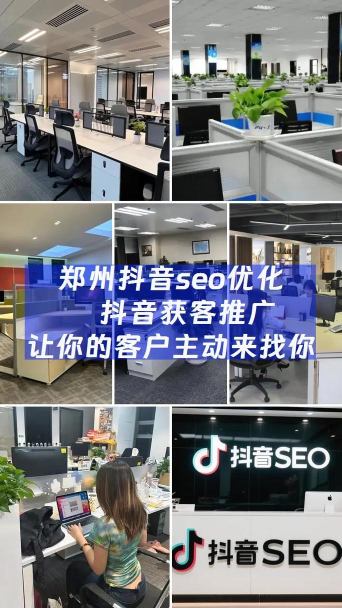 seo推广平台运营