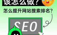 网站SEO优化方法