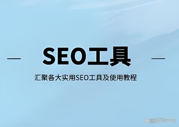 国内用SEO吗