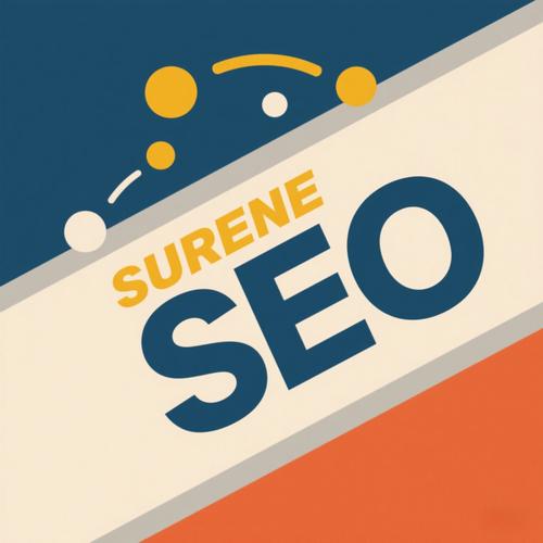 丽水正规云优化seo
