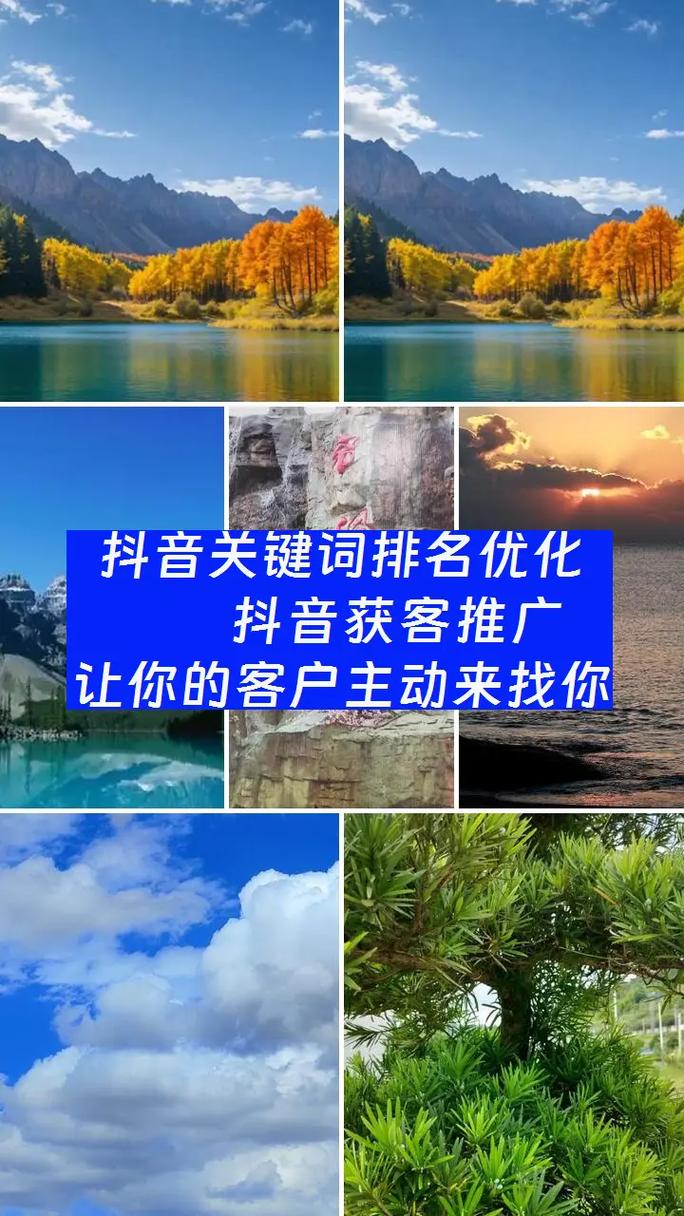 寮步抖音seo