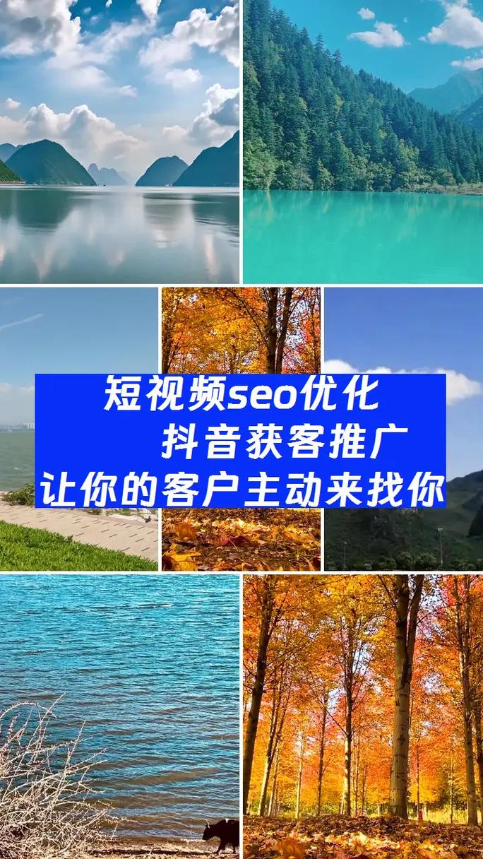 温州seo关键词霸屏