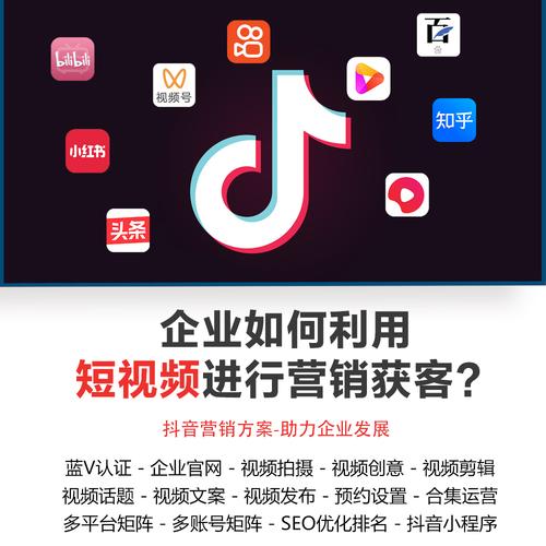 湛江抖音seo推广公司